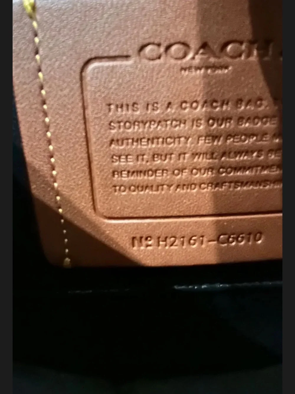 Coach buckle adjustable